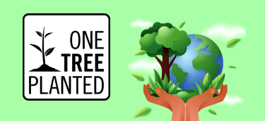 Tree Plantation