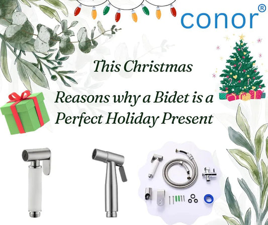 3 Reasons why a Bidet is a Perfect Holiday Present
