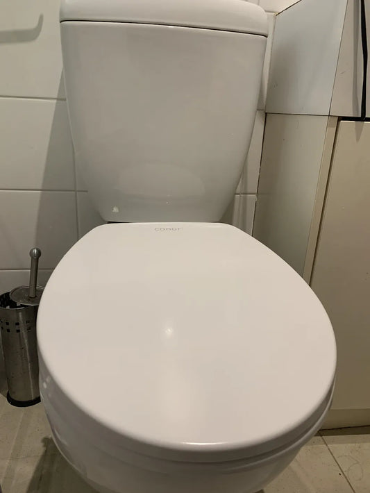 Toilet Seat with Bidet in Australia Now on $30 OFF!