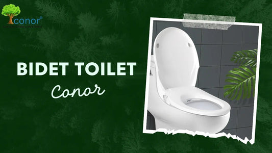 Bidet Toilet