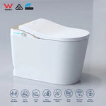 Smart Toilet Australia: Are They Safe and Accessible for People with Disabilities?