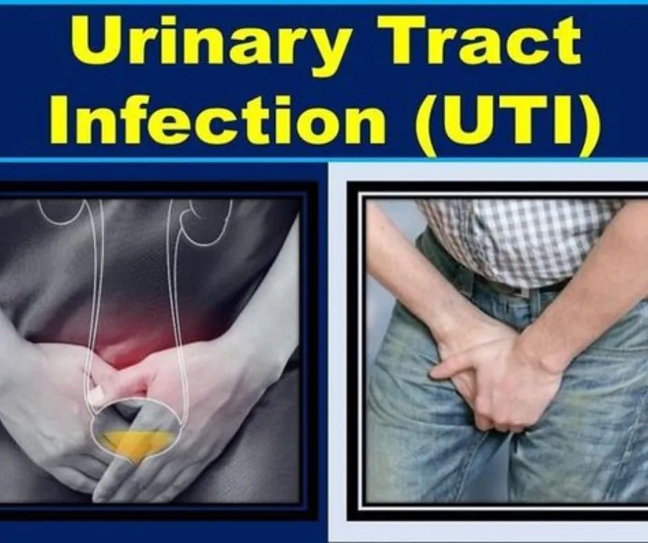 How can Bidet Sprays prevent UTI infections?