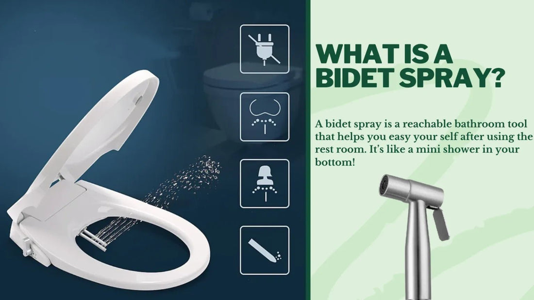 What is a Bidet Spray?