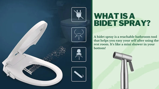 What is a Bidet Spray?