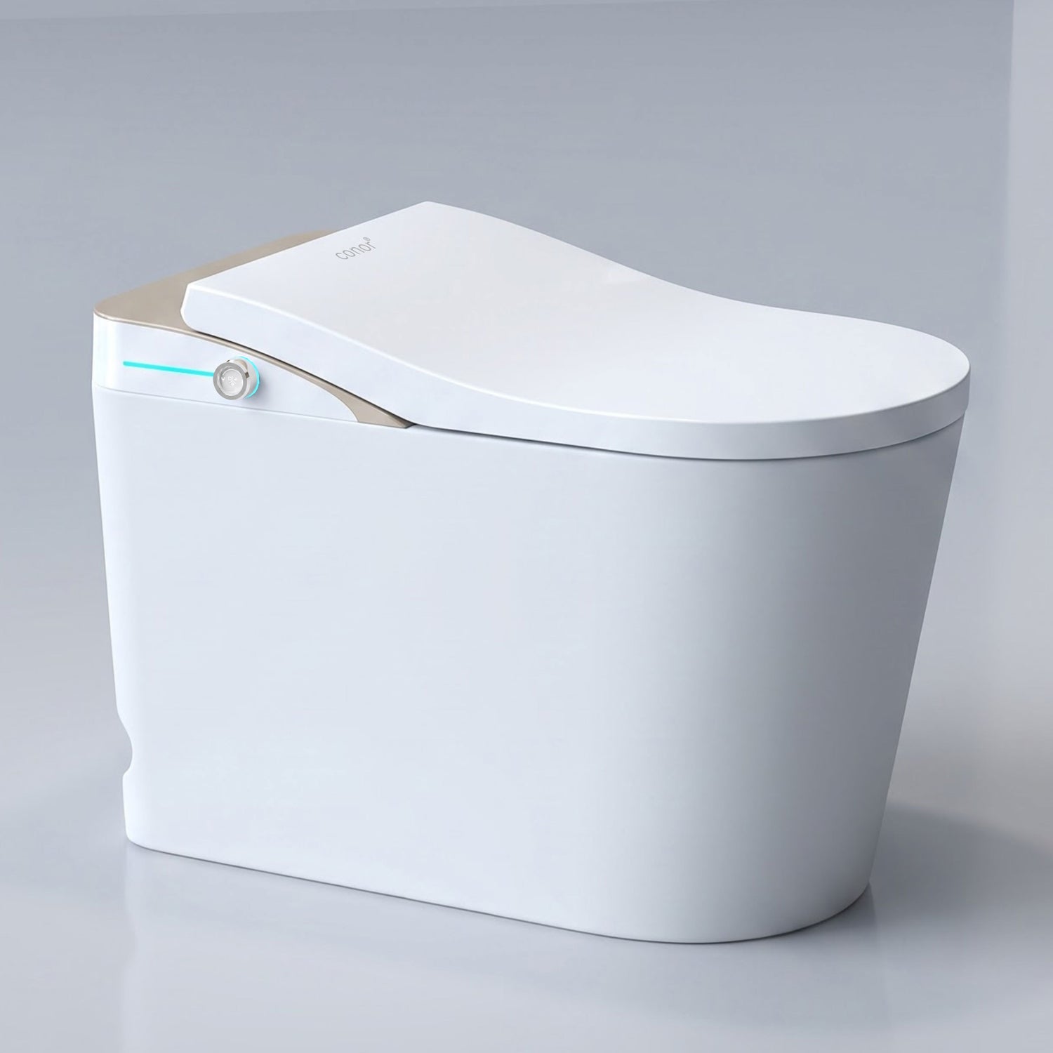 Smart Toilet Integrated