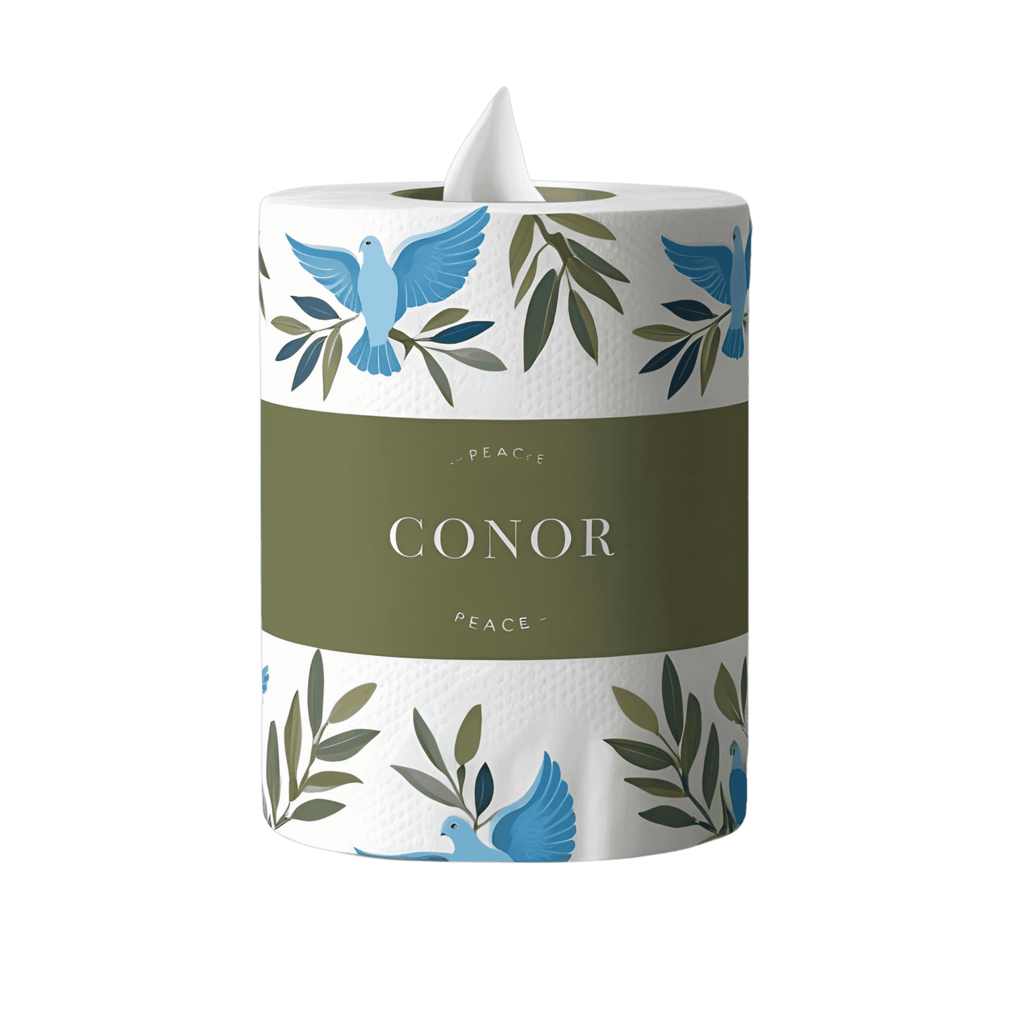 Toilet Roll Box