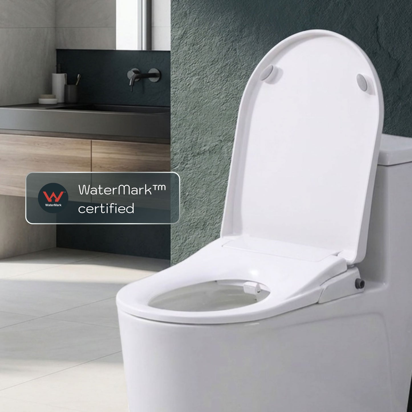 Toilet with Right Water Inlet