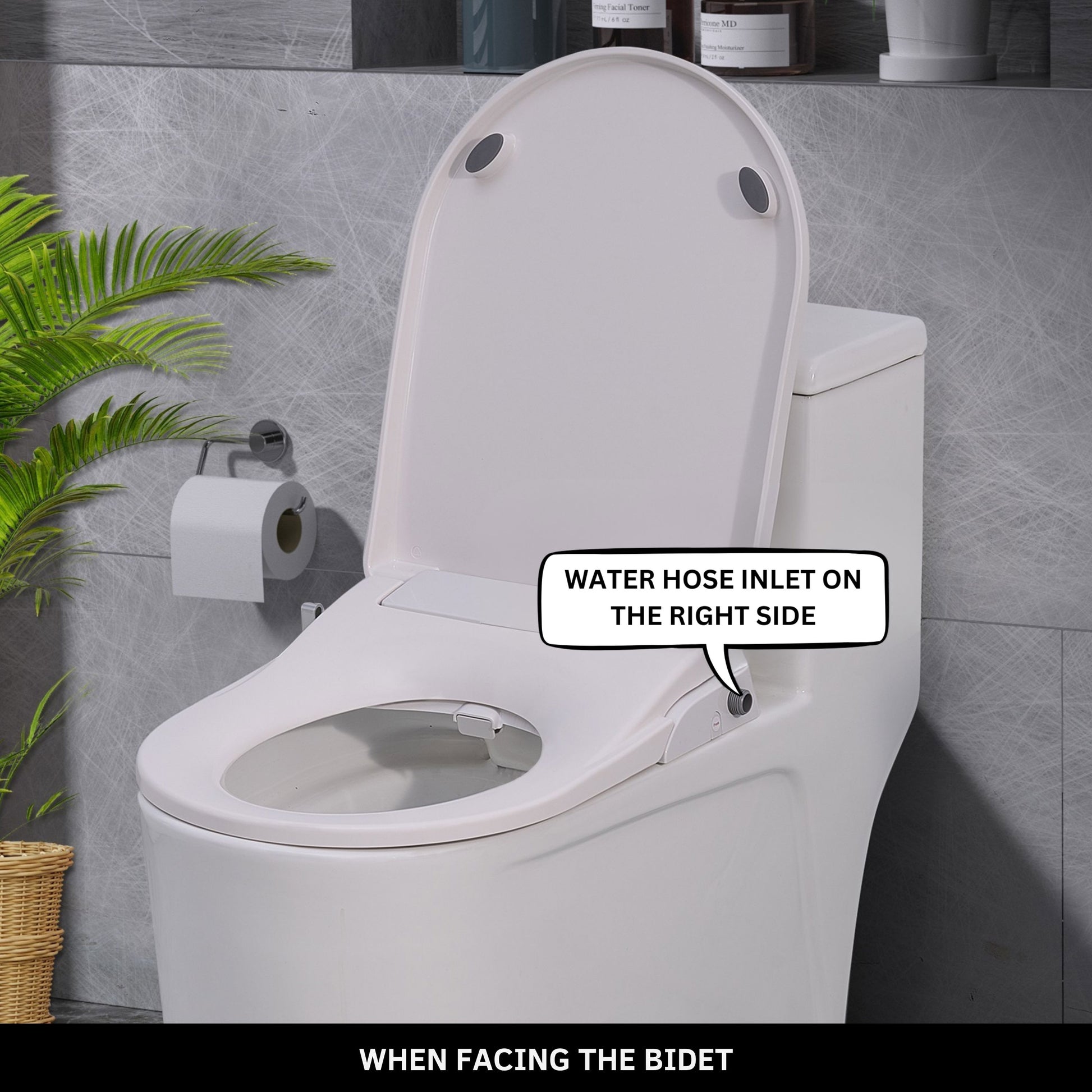 Toilet with Right Water Inlet