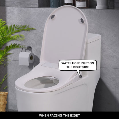 Toilet with Right Water Inlet