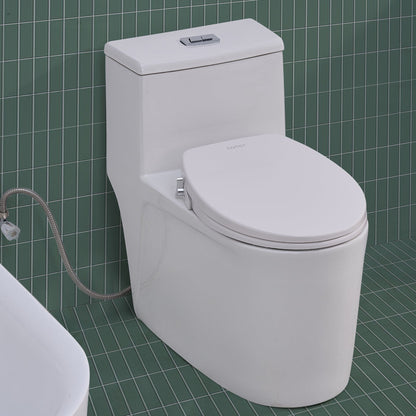 Toilet with Right Water Inlet