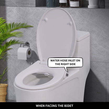 Toilet with Right Water Inlet