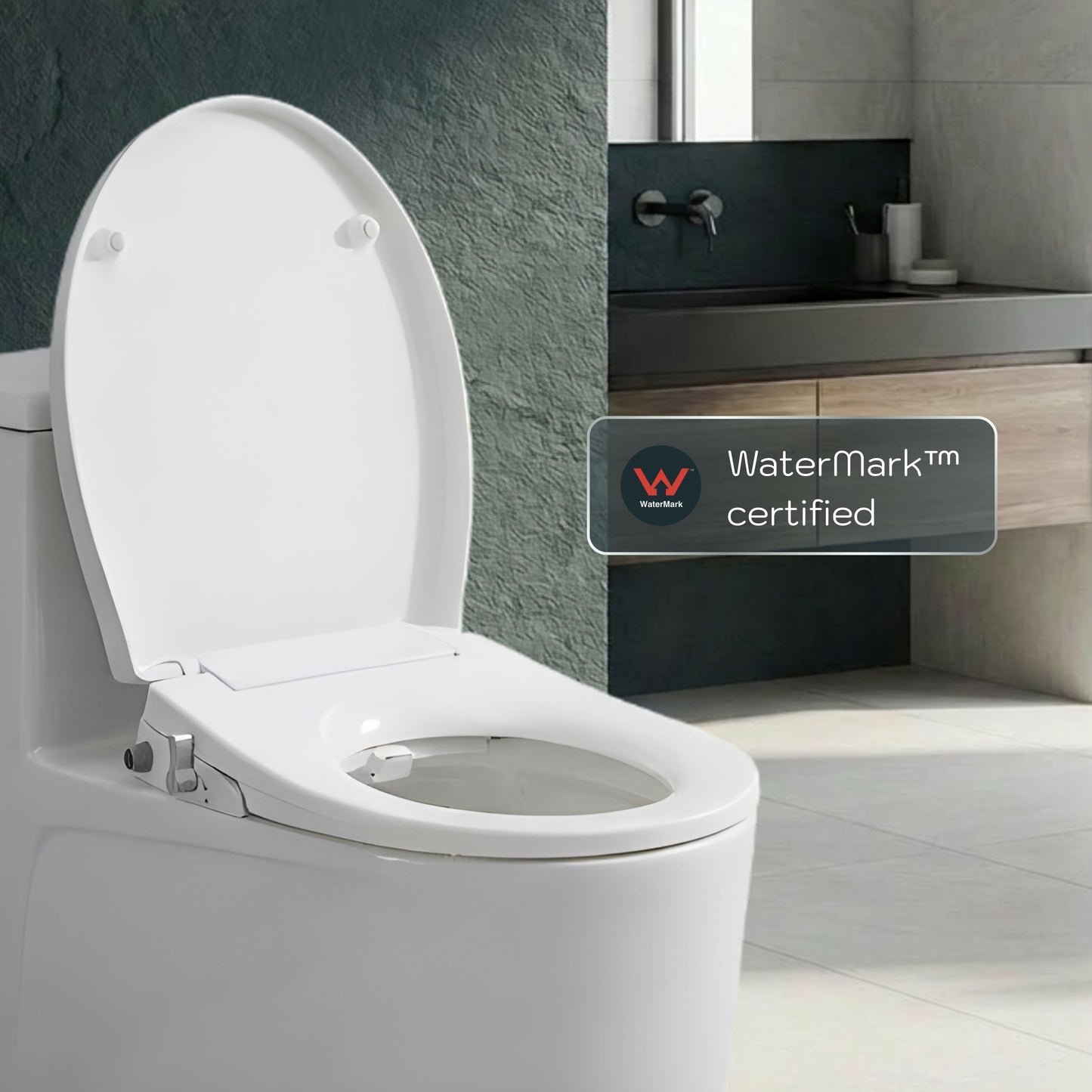 Toilet with Left Water Inlet