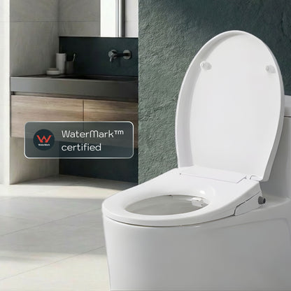 Toilet with Right Water Inlet