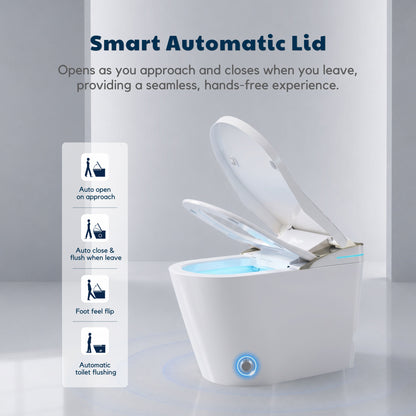 Conor Viora Grey Smart Bidet Toilet - Auto-Open Lid, Heated Seat and Infrared UV Hygiene conors.com.au 